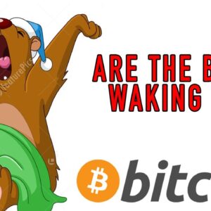 Bitcoin Starting to Face Resistance (Bitcoin & Ethereum Analysis)