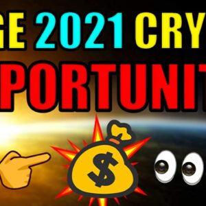 Best Ways to make MONEY in Cryptocurrency 2021 | Best Altcoin Investing Strategy | PREPARE NOW!