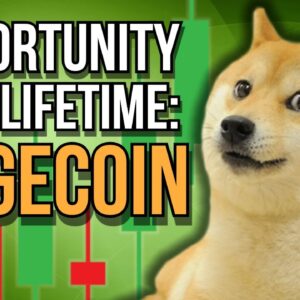 Dogecoin (DOGE): The Opportunity Of A Lifetime? 🐕