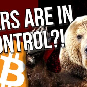🚨 ATTENTION: BEARS IN CONTROL! WHAT'S NEXT? 🚨