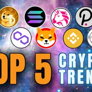 Top 5 Altcoin Trends After the Crypto Crash