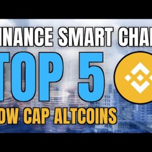 Top 5 Low Cap Coins on Binance Smart Chain (BSC)