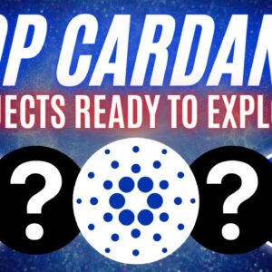 BEST ALTCOINS Post Cardano Smart Contracts! Do Not Miss! PART 1