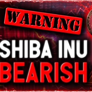 WARNING! DOGGY DANGER! SHIB Chart Reveals Worst Correction May Be Ahead!