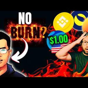 CZ TALKS ABOUT BURNING TERRA LUNA! HOW SOON CAN $UST GET BACK to $1?