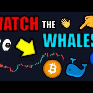 WHALES (QUIETLY) BUYING BITCOIN! ðŸ�³ ETHEREUM to EXPLODE After MERGE in SEPTEMBER!