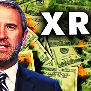 ⚠️VISA to ISSUE XRP CARDS! ⚠️BREAKING: RIPPLE vs SEC UPDATE!⚠️