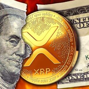 🚨KABOOM!!🚨THE XRP 30,000% PUMP EXPLAINED!