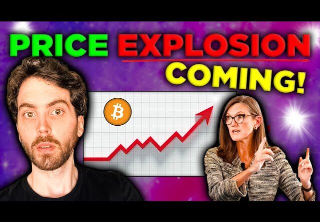 Bitcoin + AI = PRICE EXPLOSION! 2024 is VERY BULLISH! (Here is why)