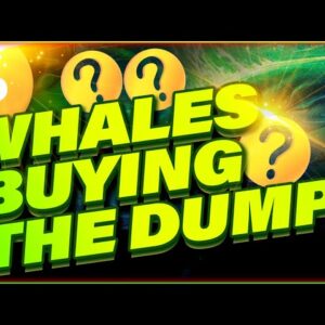 CRYPTO WHALES ARE SECRETLY BUYING THE DUMP | BTC or Altcoins?
