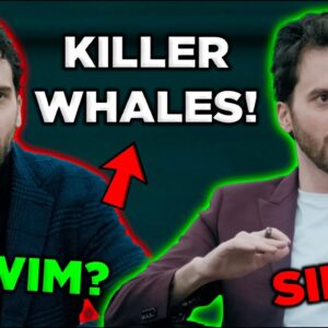 Killer Whales (like crypto Shark Tank) : Meet Altcoin Daily