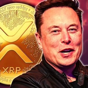⚠️XRP THIS COULD BE IT! ELON CONFIRMS! RALLY to $149🚨