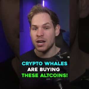 Crypto Whales are Accumulating THESE Altcoins for the Bull Run! #shorts