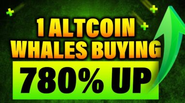 Why Crypto Whales Are Buying This Undervalued Altcoin - Clearpool CPOOL Pump 8 Why Crypto Whales Are Buying This Undervalued Altcoin - Clearpool CPOOL Pump